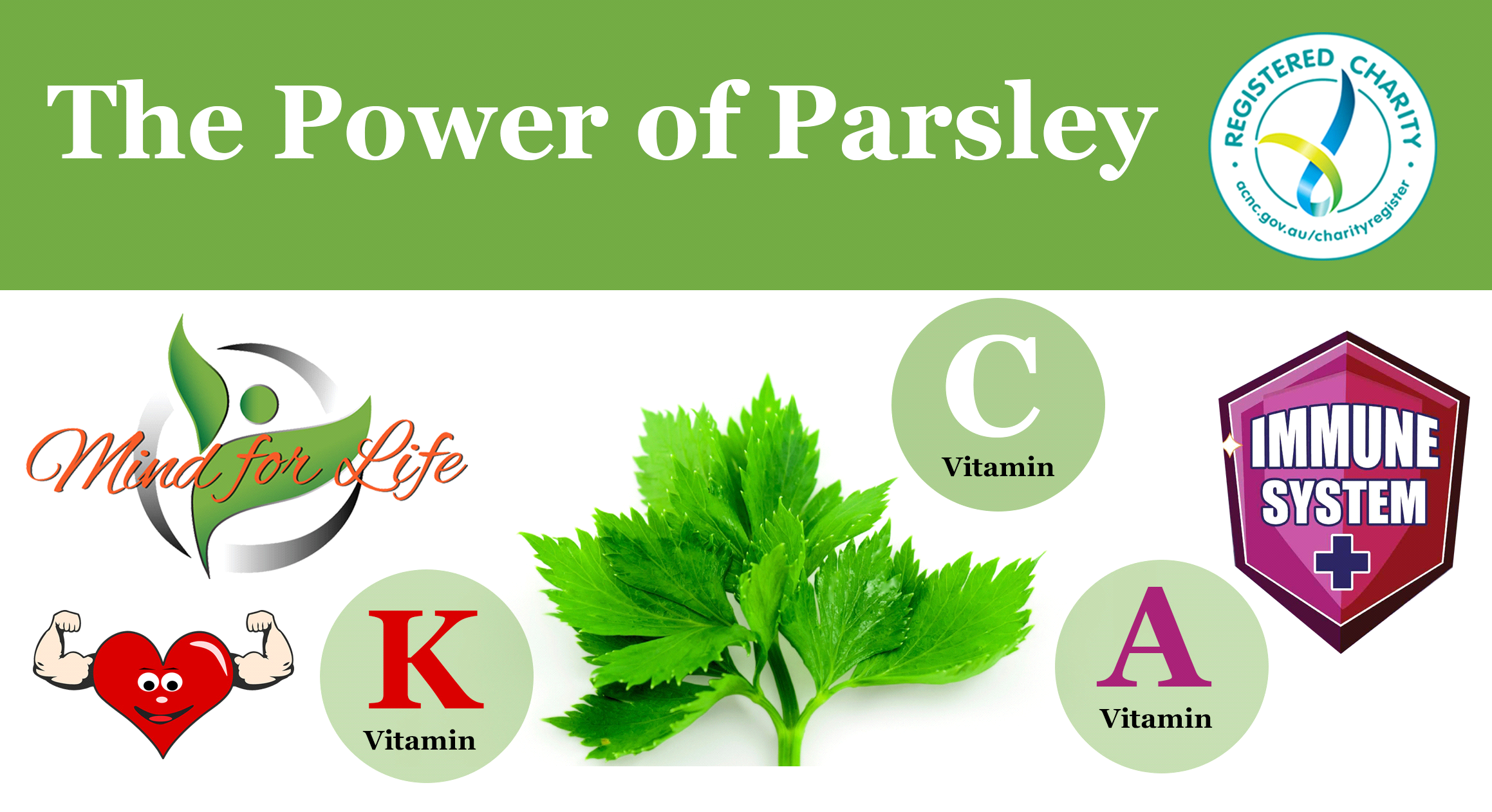 You are currently viewing The Power of Parsley