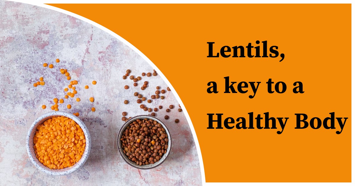 You are currently viewing Lentils, a key to a Healthy Body
